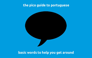 pico_basicwords.jpg